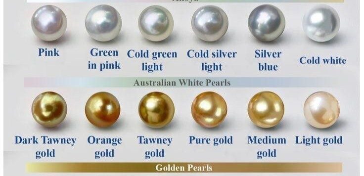 بعض درجات ألوان اللؤلؤ الياباني بعض درجات ألوان اللؤلؤ الياباني -أكويا