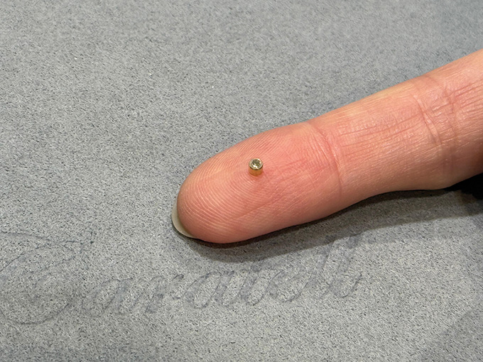 ميكروشيب من جوبلين، لتسهيل تتبع قطع المجوهرات